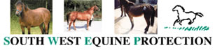 South West Equine Protection image